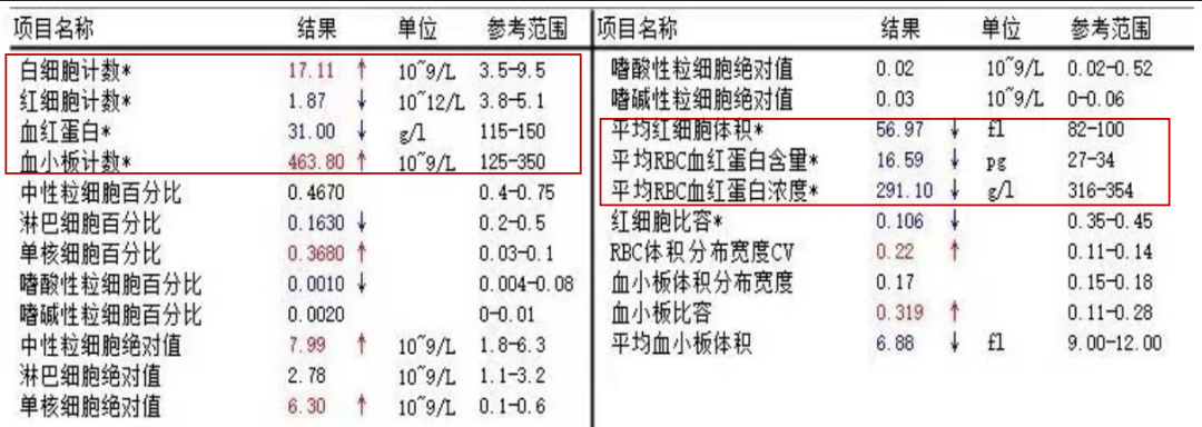 挤浆法和铺浆法_浆组词_浆