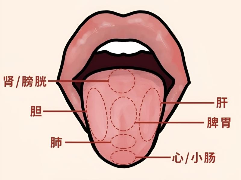 窍怎么读_窍组词_窍