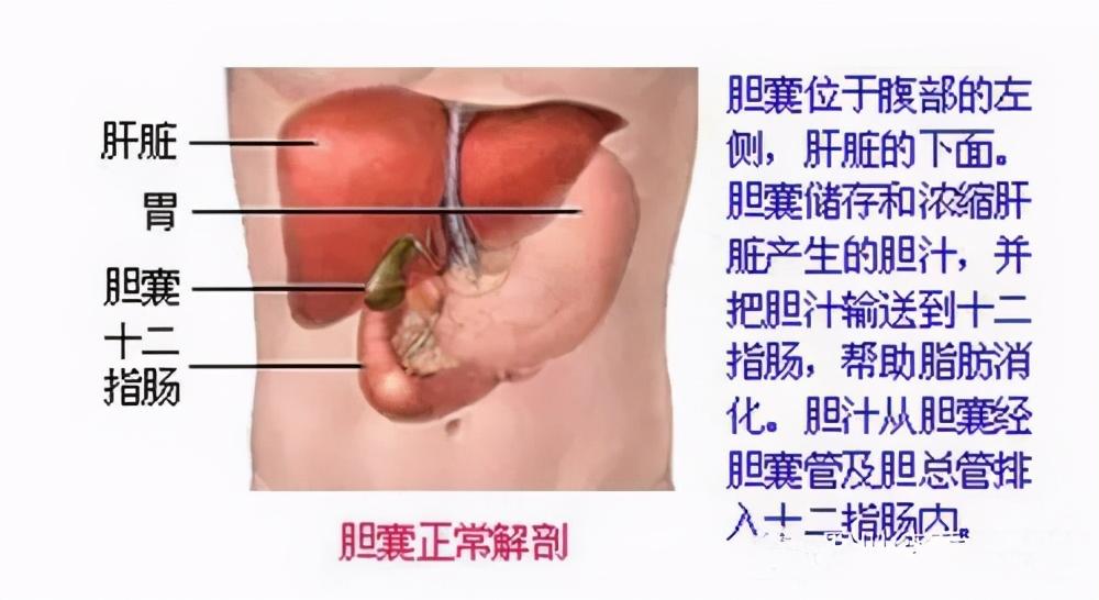 长痛不如短痛怎么接下一句_长痛不如短痛怎么表达_长痛不如短痛