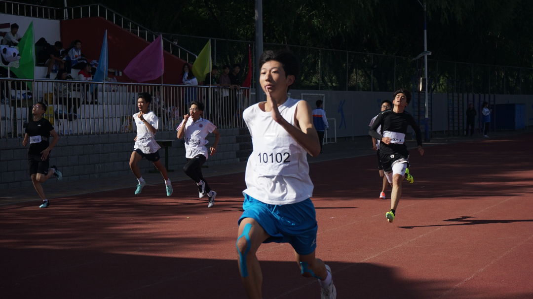 中学北京交大分校好吗_北京一五六中学_中学北京排名一览表