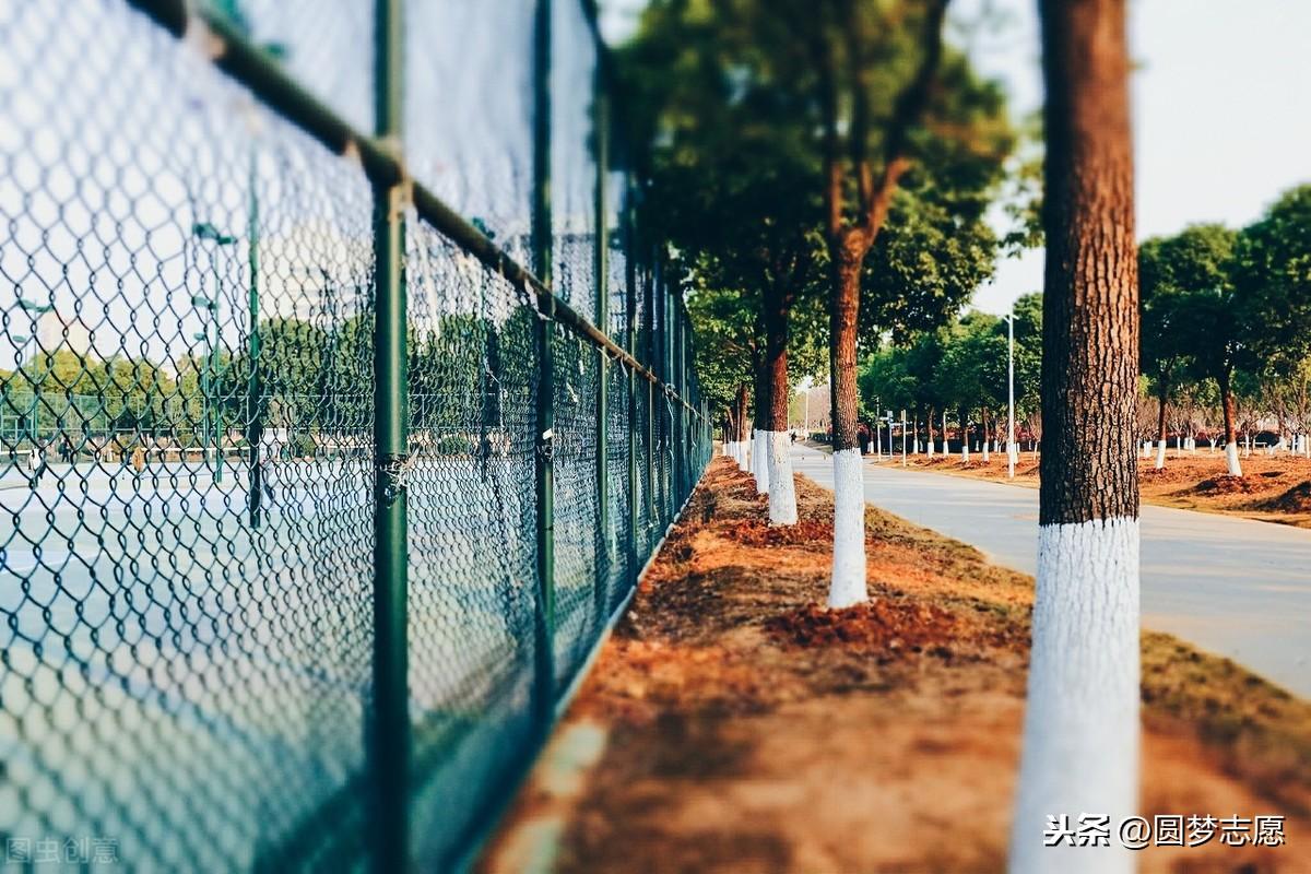 上海师范类大学天华学院学费_上海师范大学天华学院学费_上海师范大学天华学院学费