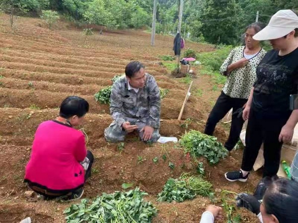 安顺学院是几本_安顺学院是本科吗_安顺学院算几类大学