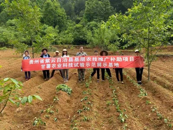 安顺学院是本科吗_安顺学院算几类大学_安顺学院是几本