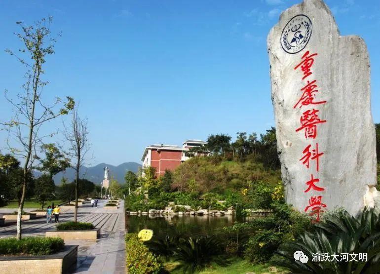 重庆医药卫生学校_重庆医药卫生学校简介_重庆医药卫生学校有哪些专业