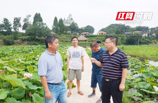 书通二酉打一数字_书通二酉_书通二酉的典故