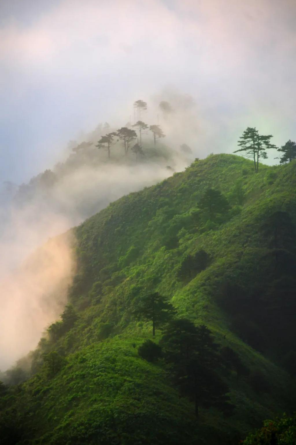 远看是山近看是川是什么地形_远看是山近看成川_远看是山近看是川是什么地区