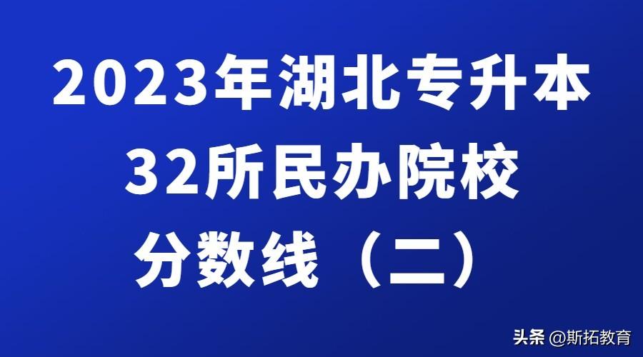 武汉学院分数线是多少_武汉学院2021分数线最低分_武汉城市学院分数线