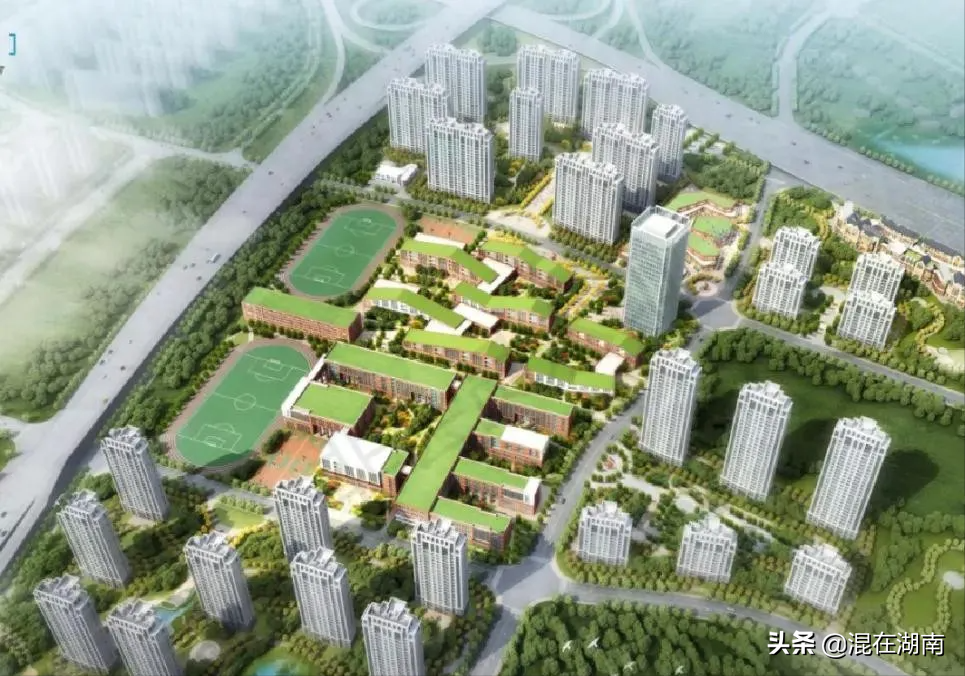 明德学校麓谷校区地址_明德麓谷学校地址_明德麓谷学校