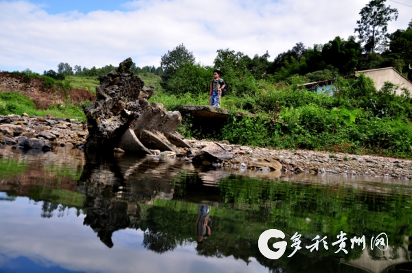 天柱民族中学历届毕业生名录_天柱民族中学录取分数线_天柱民族中学