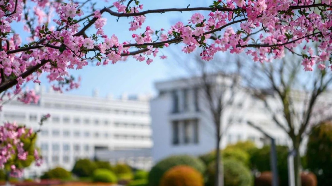 上海各大学今年录取分数线_21年上海各大学分数线_2023年上海大学录取分数线