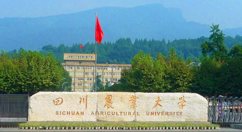 西华大学录取分数线2022_2021西华大学录取分数线_西华大学高考录取分数线