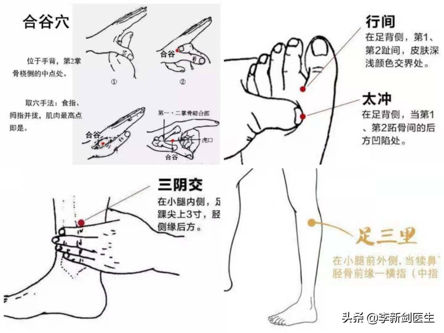 腓是什么意思_腓什么意思怎么读_腓字是什么意思