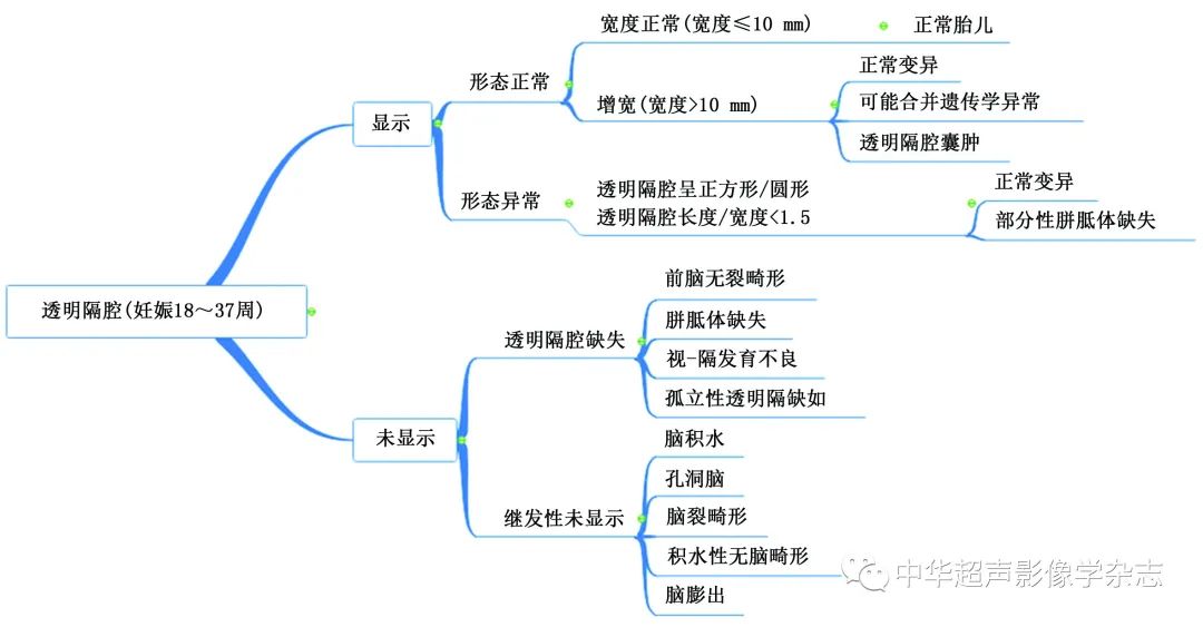 笔顺青_青笔画顺序_青笔画顺序怎么写好看