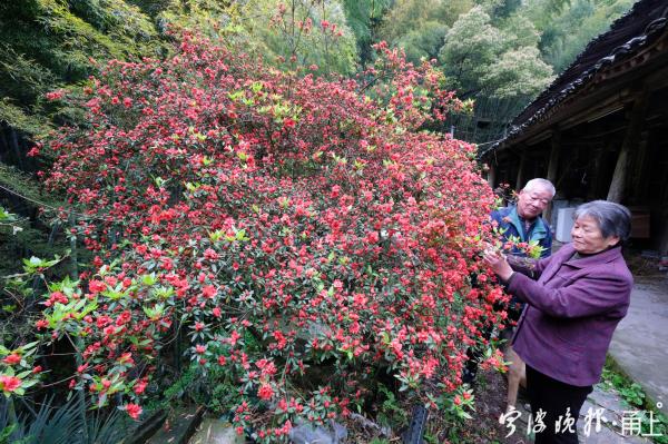 俞山岛图片_俞山岛属于哪里_山俞