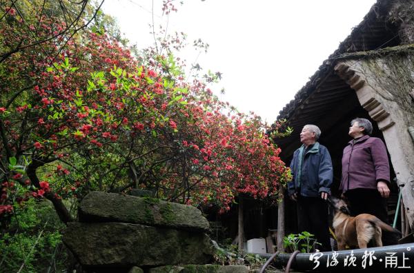 俞山岛图片_山俞_俞山岛属于哪里