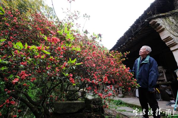 山俞_俞山岛属于哪里_俞山岛图片