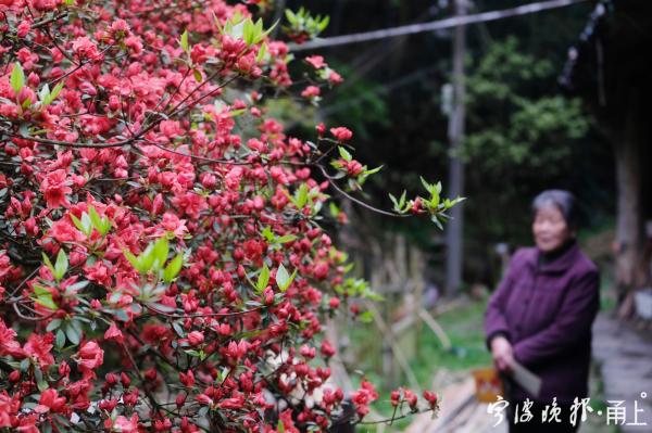 山俞_俞山岛图片_俞山岛属于哪里