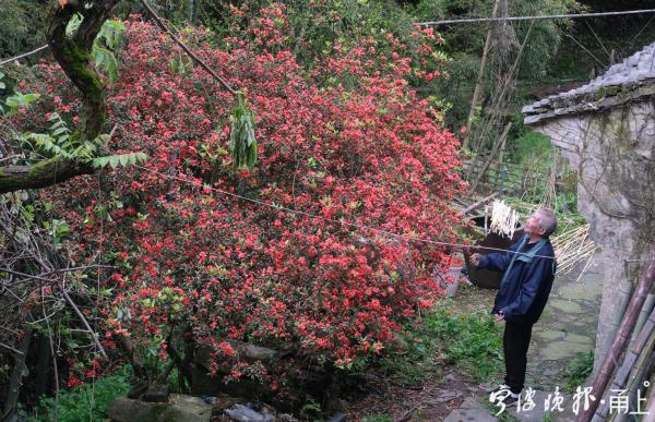 俞山岛属于哪里_俞山岛图片_山俞