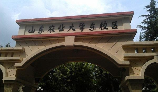 山东这所大学，明明实力很强悍，却因位置不佳，录取分数很尴尬