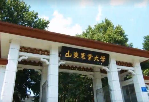 山东这所大学，明明实力很强悍，却因位置不佳，录取分数很尴尬