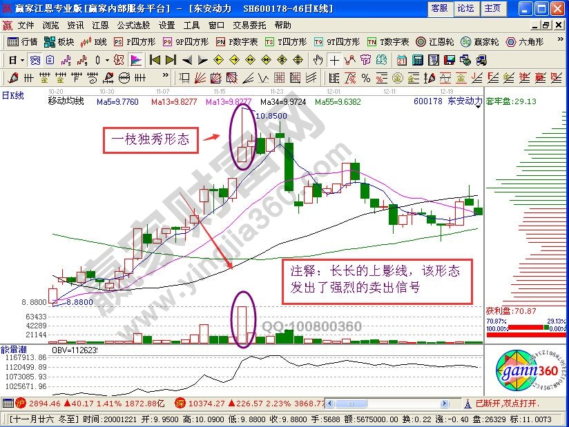 “一枝独秀”形态