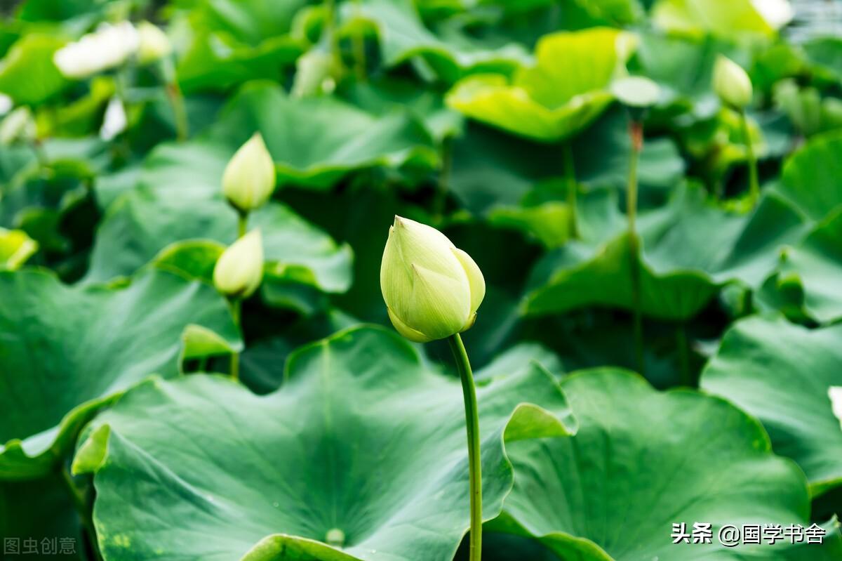 落寞读音是什么意思_落寞意思是什么_落寞的意思