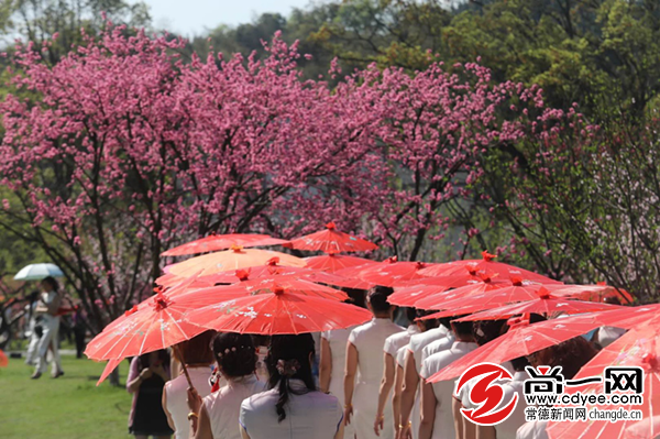 芳草鲜美的鲜_芳草鲜美什么意思_芳草鲜美