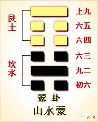 数独_数字人_九数