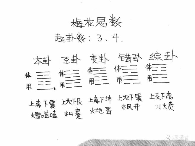 九数_数字人_数独