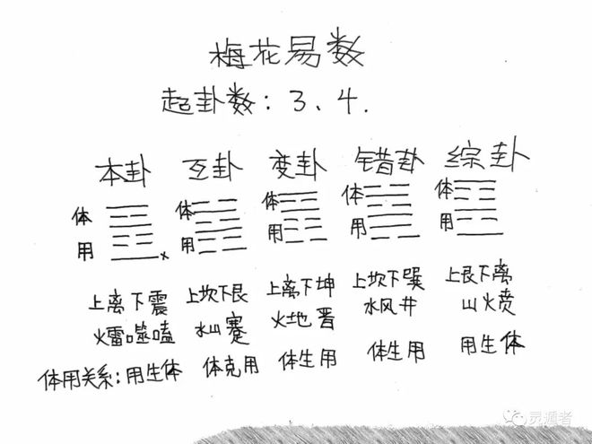 数字人_九数_数独