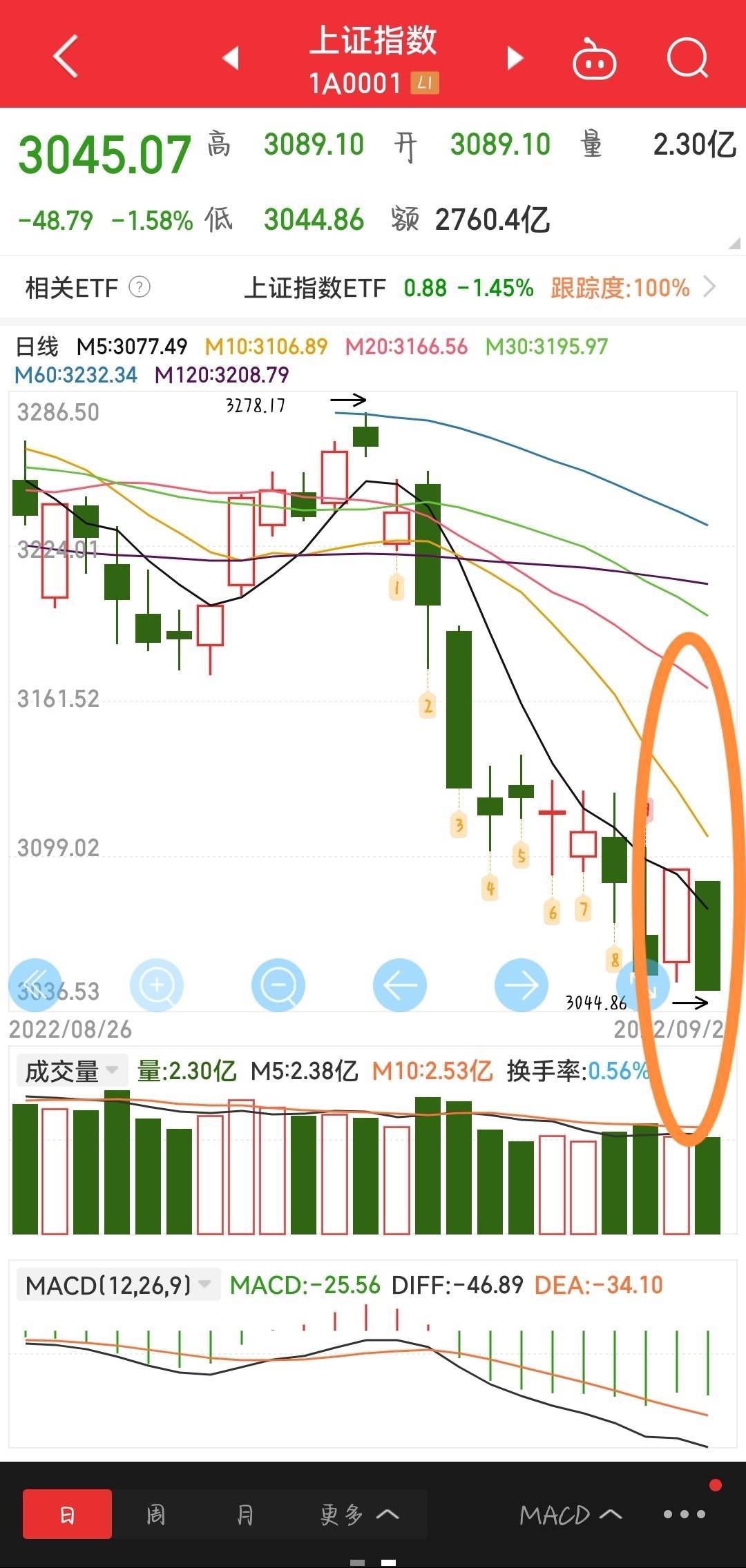 物反领主星座_物极必反_物反玉米