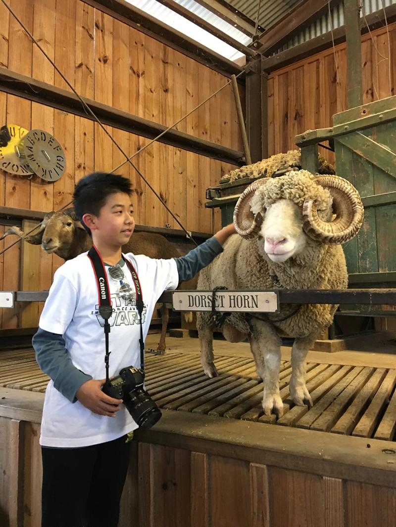 记住的英文_英文记住我怎么写_英文记住怎么写