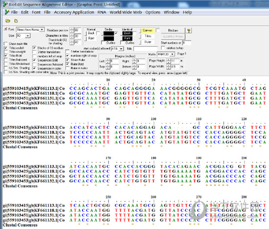 BioEdit软件