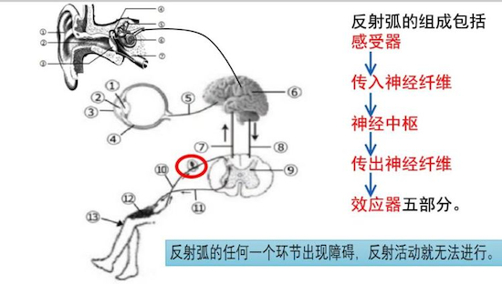 尚文中学_尚文中学校训_尚文中学校长是谁