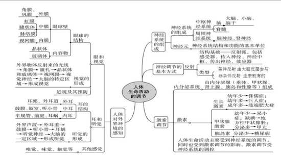 尚文中学_尚文中学校长是谁_尚文中学校训