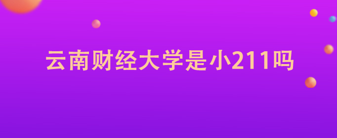 云南财经大学是小211吗