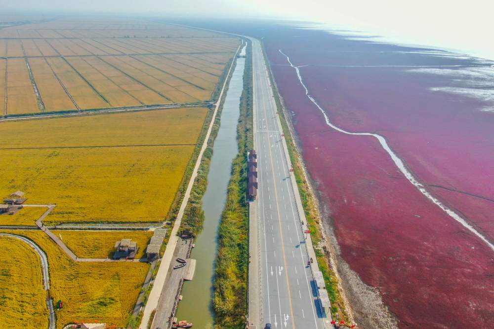 油_油水分离器_油