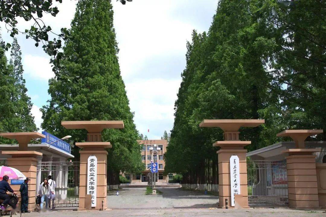 青岛农业大学海都学院学费_青岛农业学院海都学院学费_青岛农业大学海都学费多少