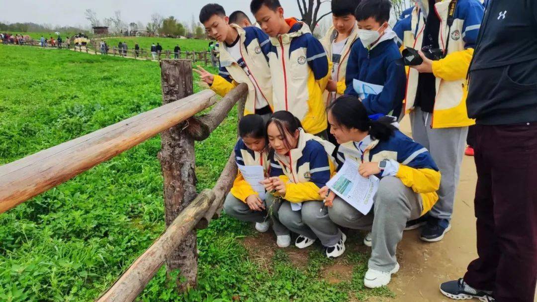 重庆南坪中学初中部_南坪中学全称_南坪中学