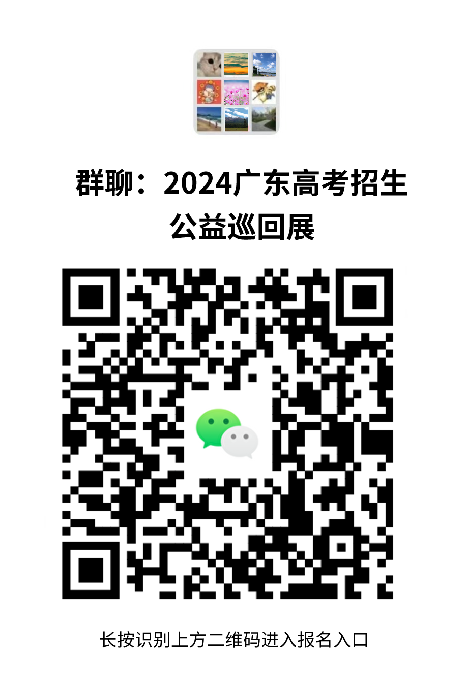 高考报名网站广东_高考报名广东网址查询_广东高考报名网址