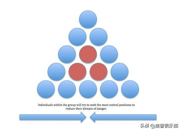 c++八皇后问题_用栈求解n皇后问题_八皇后问题