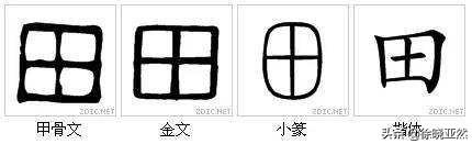 八皇后问题_回溯法求解n皇后问题_c++八皇后问题