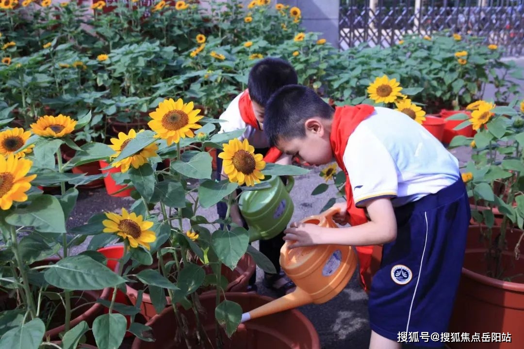 湖南省岳阳市县一中_岳阳县一中_岳阳县一中人墙