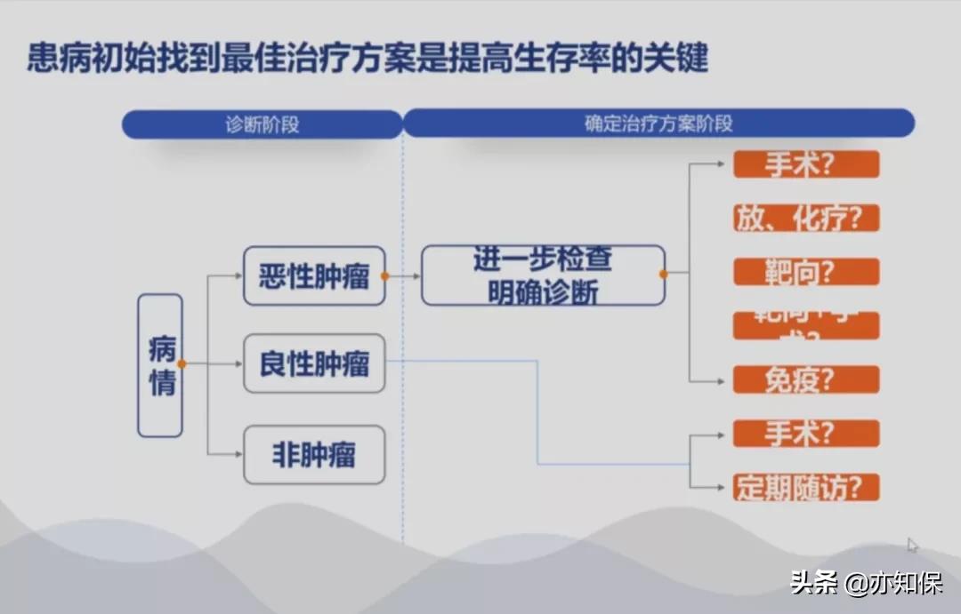 绿通是什么意思_什么叫绿通_绿通包括啥