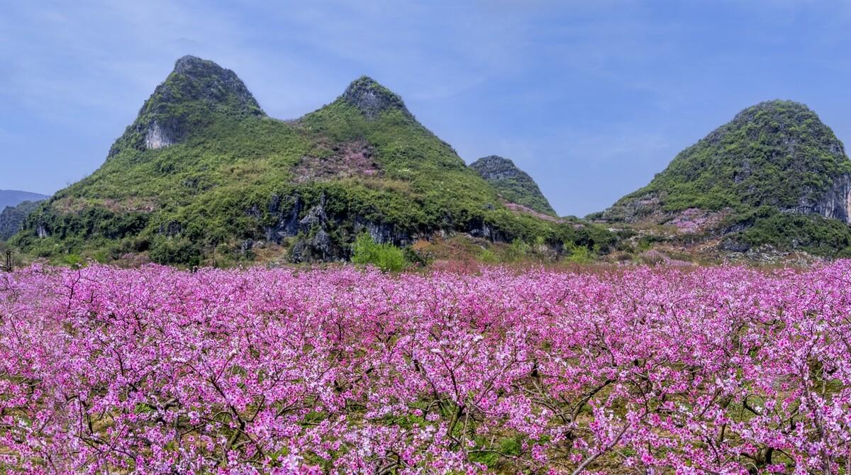 《山中问答》_山中问答_问答山中问答唐李白