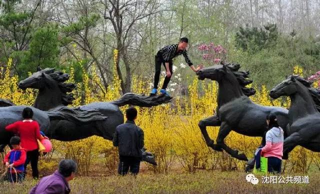 形影相随是什么_影相随是什么数字_形影相随