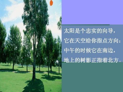 钩弯撇横字有哪些字_横撇弯钩的字_横撇弯钩的字有哪些