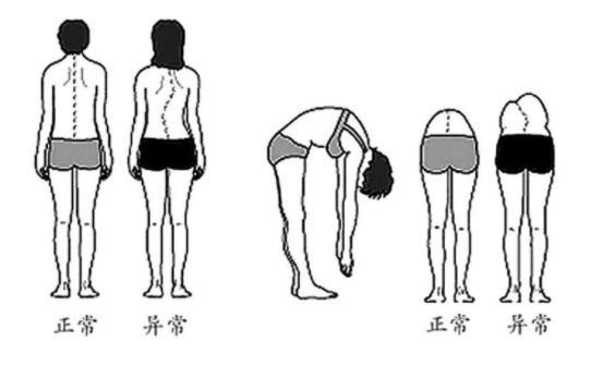 一年级生字笔顺_生字笔顺图片_生字笔顺