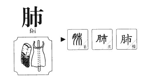 恢的形近字_恢形近字的是什么_恢形近字有哪些并组词