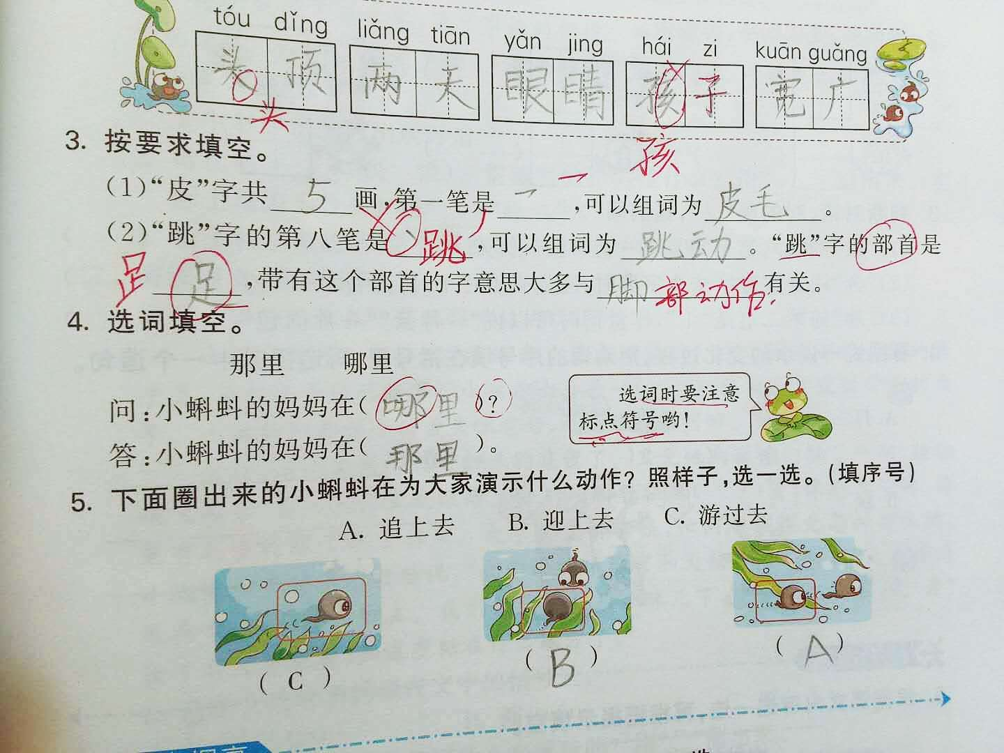 跳笔顺怎么写_跳字笔顺_跳笔顺笔画